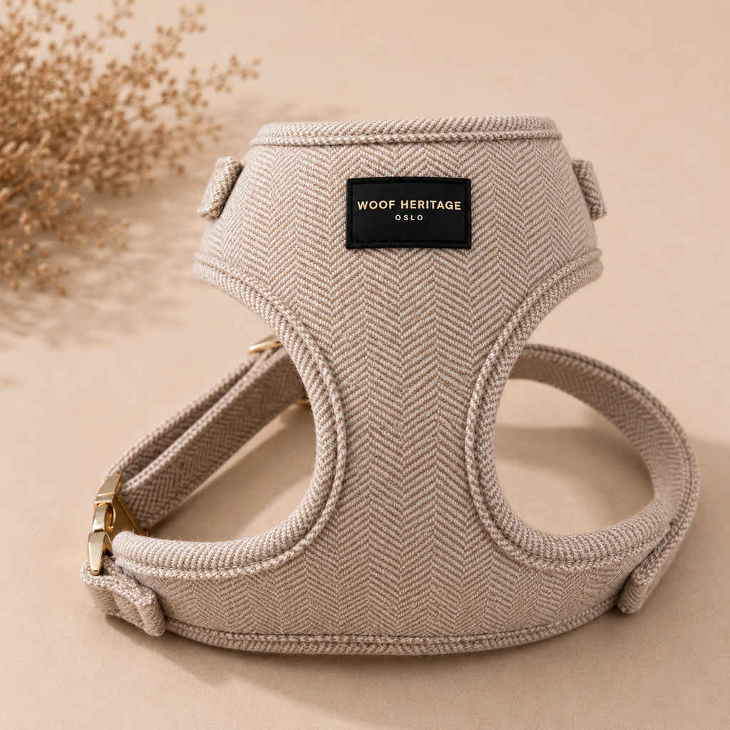 Bundle – Twill Sand | Hundesele + Bånd